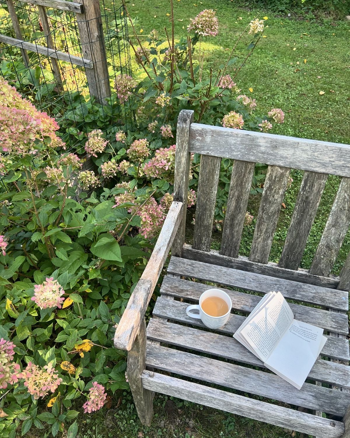 An open journal beside dried lavender